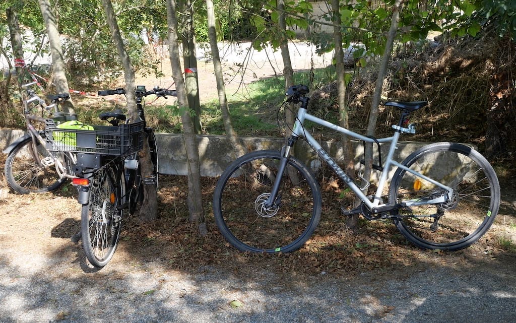  Les vélos accrochés aux arbres