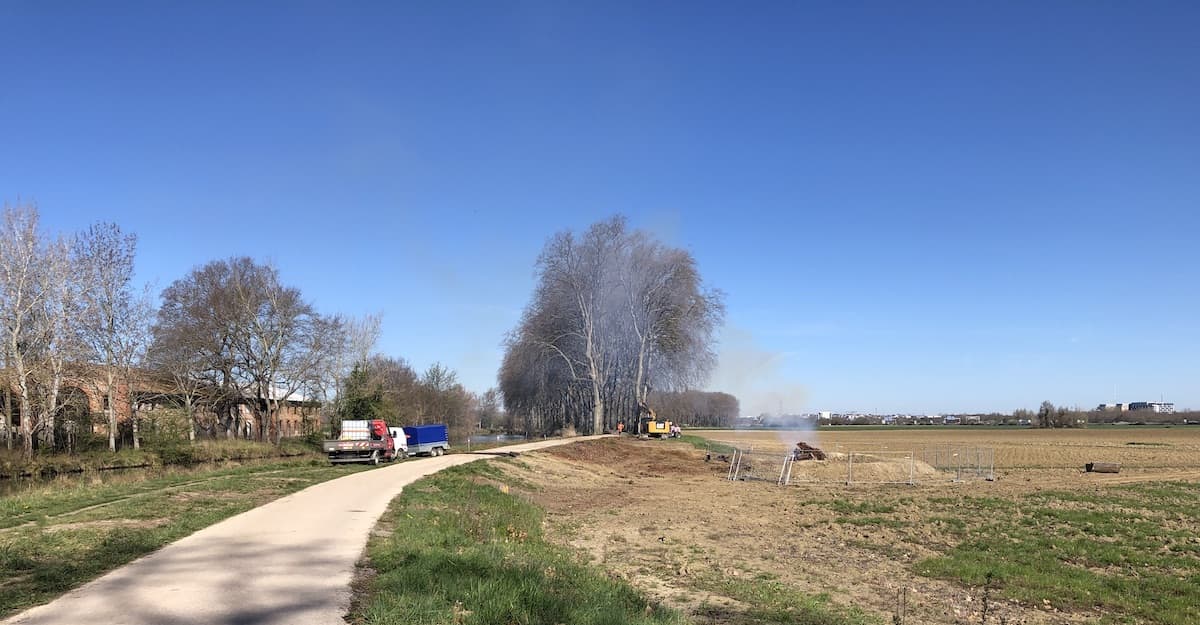 La zone de l'abattage des platanes